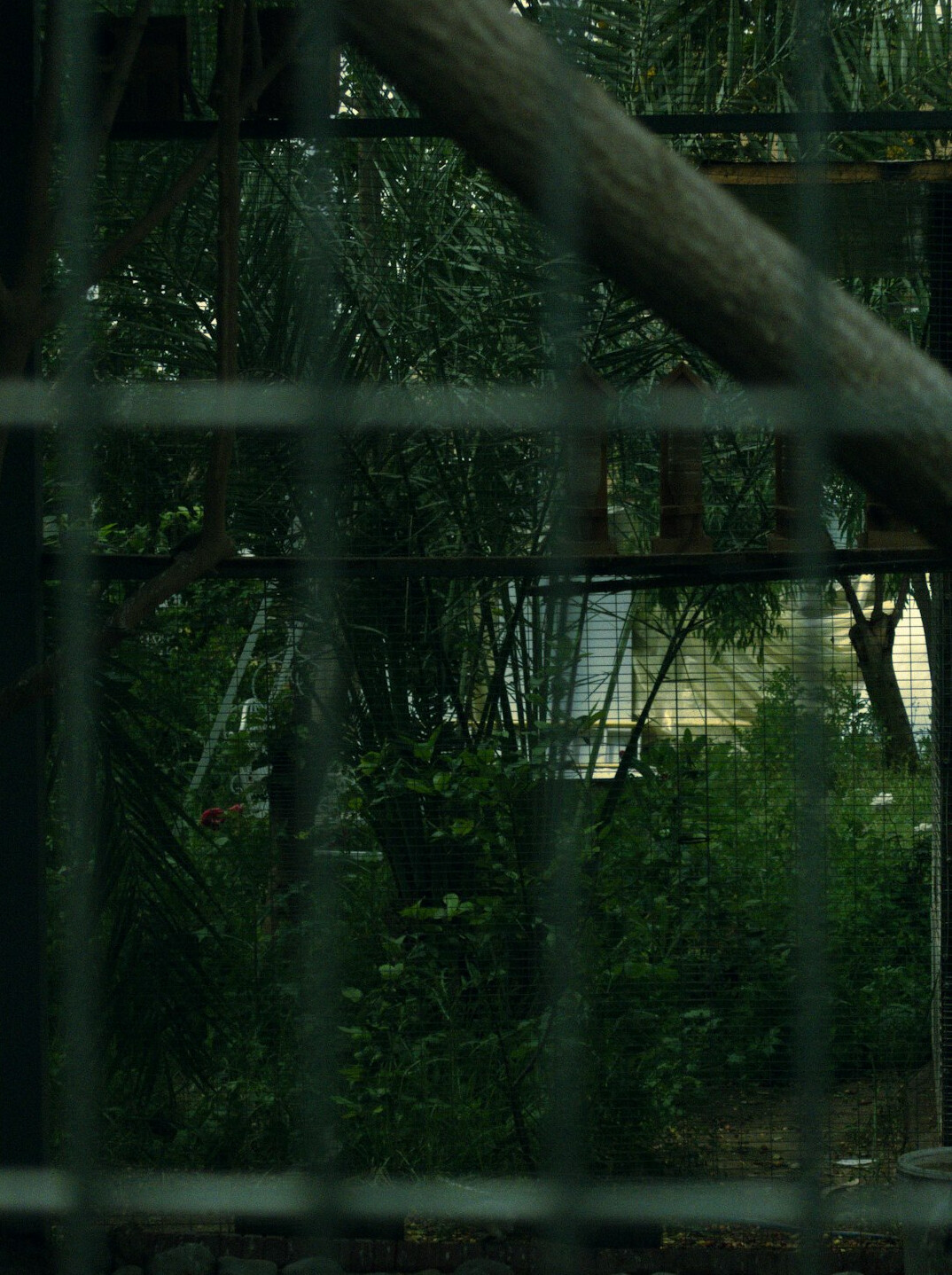 hidden investigation scene